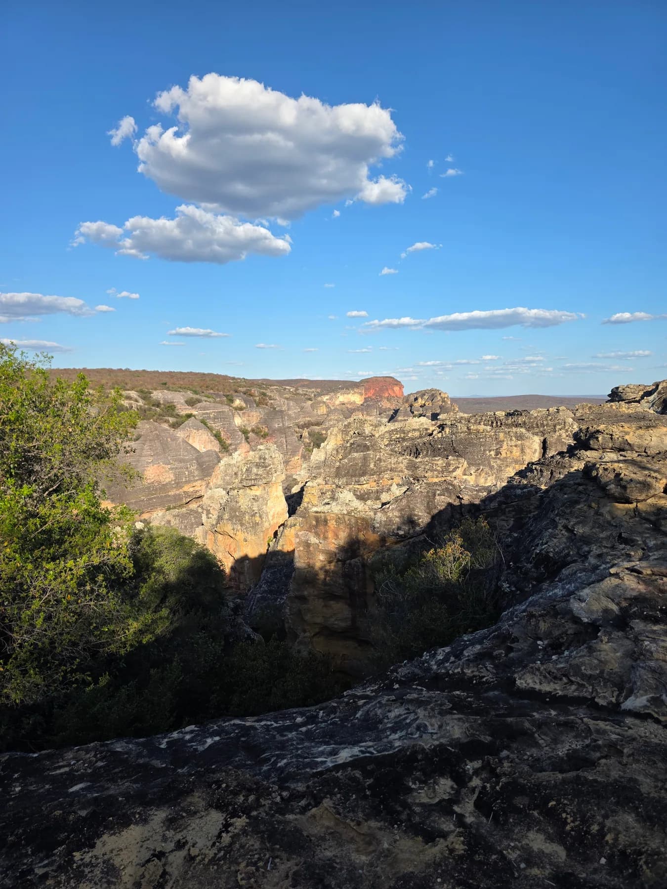Vista dos cânions e da Caatinga a partir do mirante