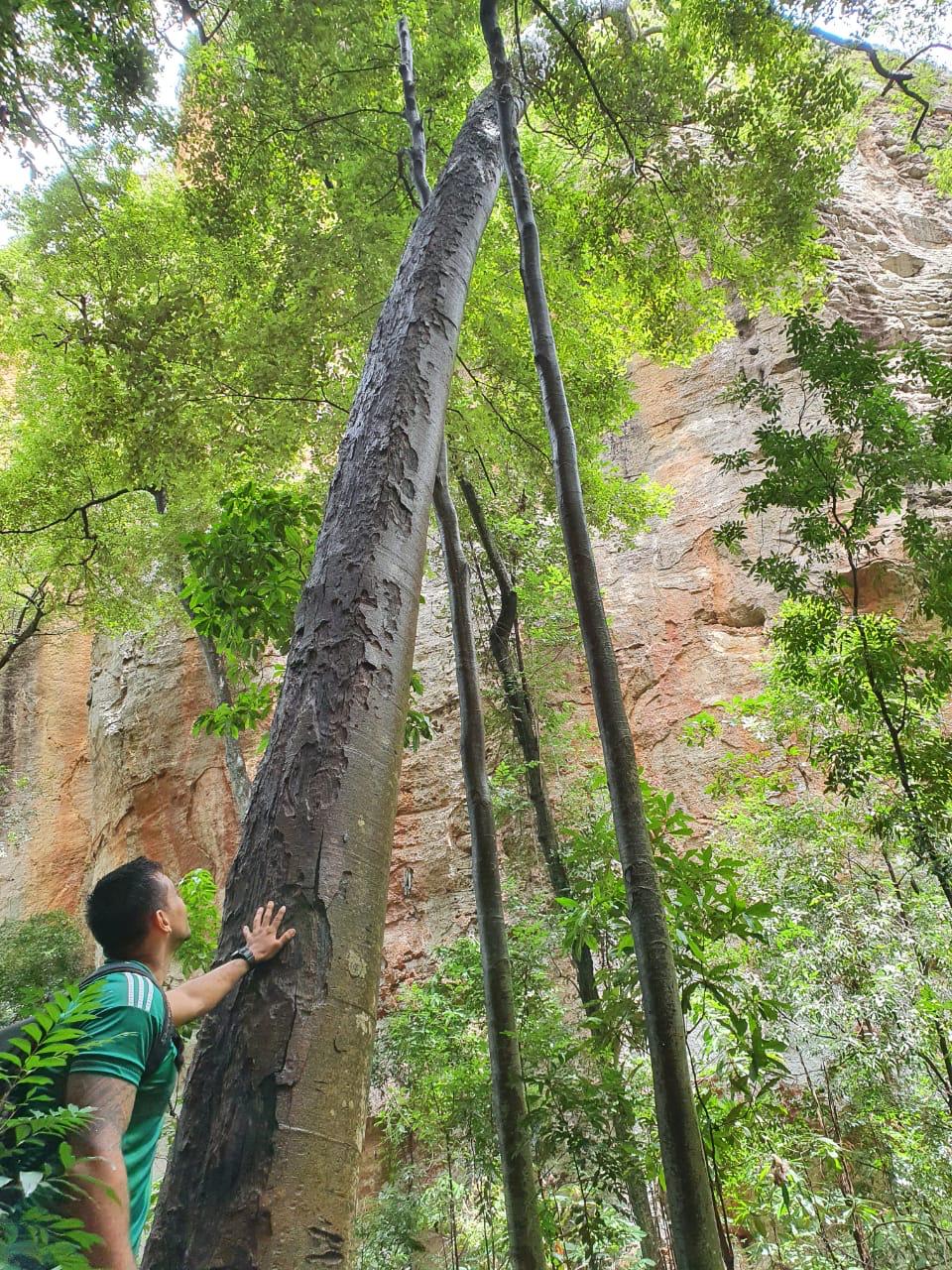 Caminhada em meio à vegetação da Caatinga